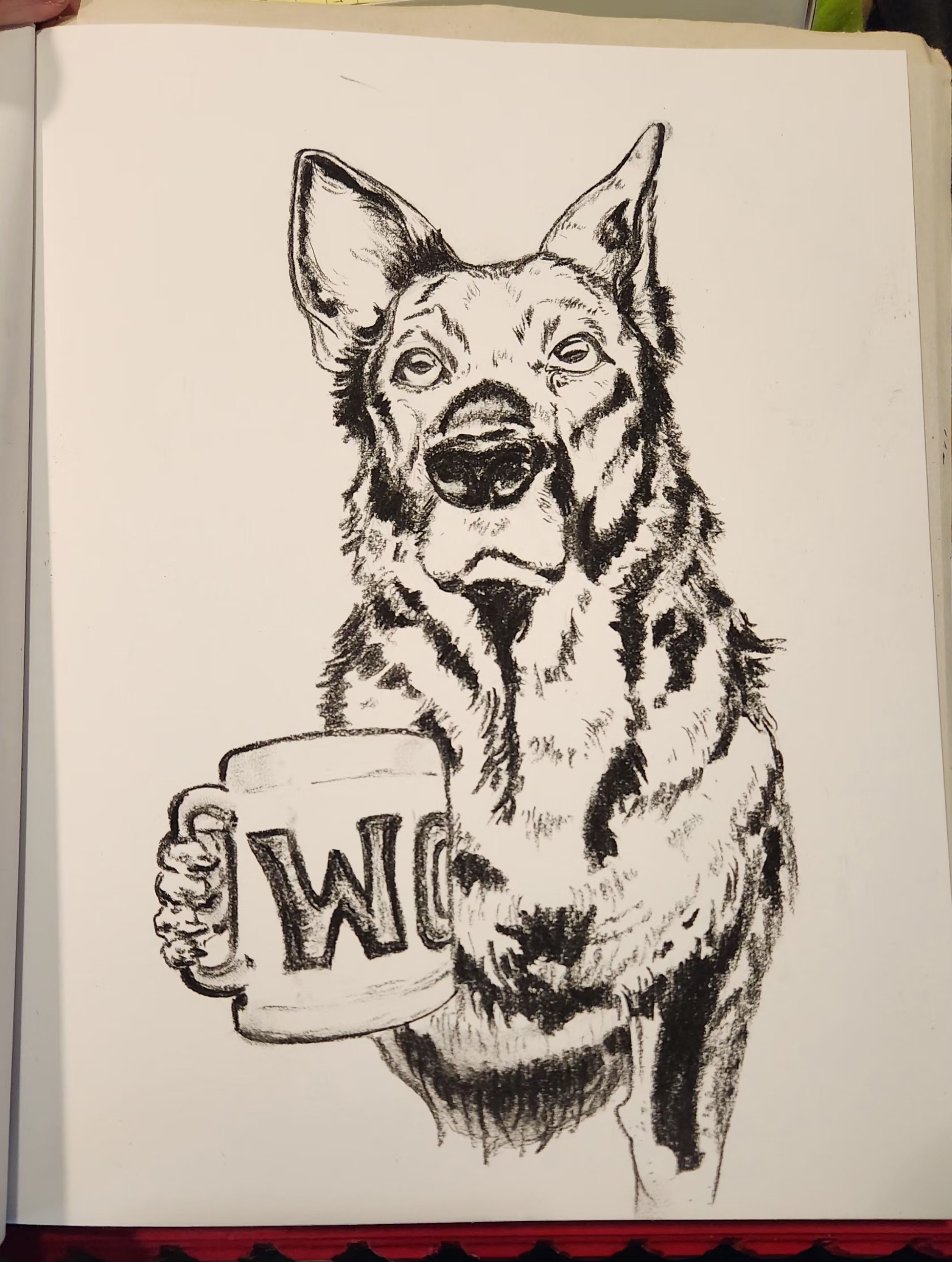 Dante and Coffee charcoal drawing